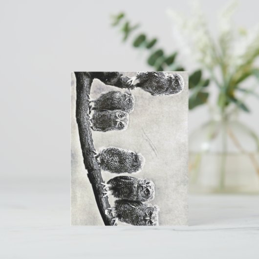 Carte postale Chaussure pour bébé (Debout devant)