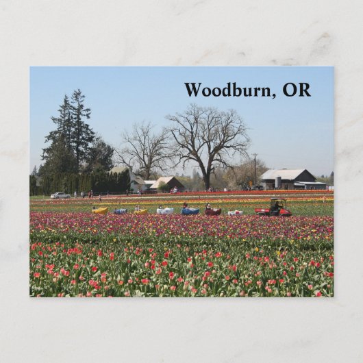 Carte Postale Chaussure Train (Devant)