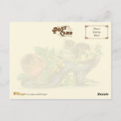 Carte Postale Chaussure victorienne avec chaton et Rose (Dos)