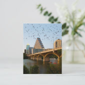 Carte Postale Chauves-souris du pont du Congrès à Austin, Texas (Debout devant)