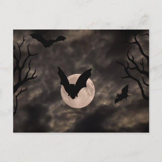 Carte Postale Chauves-souris Nuit Effrayante Halloween (Devant)
