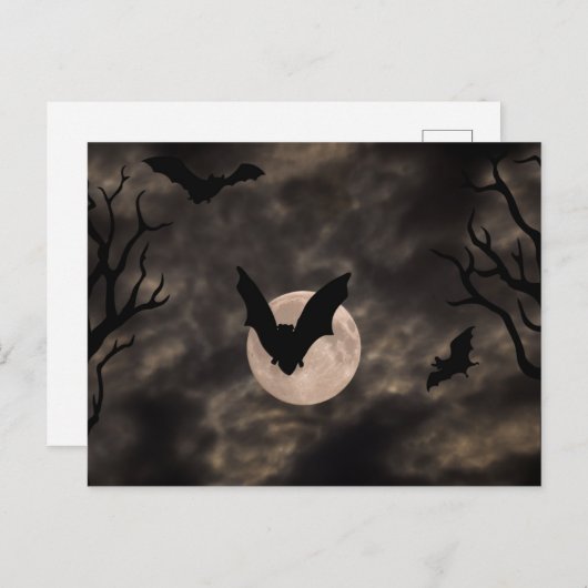 Carte Postale Chauves-souris Nuit Épouvantable Halloween (Devant / Derrière)
