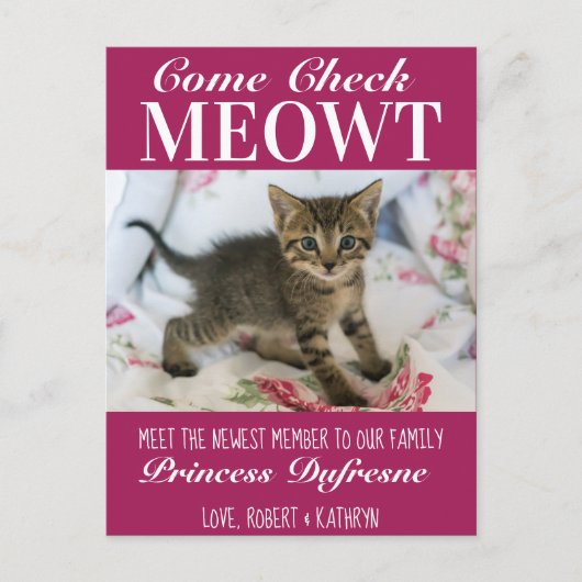 Carte Postale "Check Meowt" Nouveau Chat Faire-part pourpre (Devant)