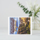 CARTE POSTALE CHEDDAR GORGE - CHEDDAR SOMERSET ANGLETERRE ROYAUM (Debout devant)