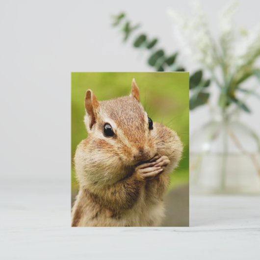 Carte postale Cheeky Chipmunk (Debout devant)