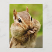 Carte postale Cheeky Chipmunk (Devant)