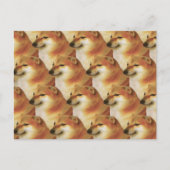 Carte postale Cheems Meme (Devant)