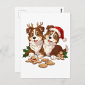 Carte Postale Cheepdogs de Noël Shetland (Devant / Derrière)