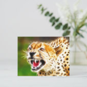 Carte Postale Cheetah (Debout devant)