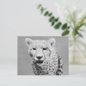Carte Postale Cheetah (Debout devant)