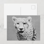 Carte Postale Cheetah (Devant / Derrière)