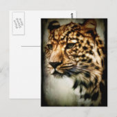 Carte Postale Cheetah (Devant / Derrière)