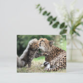 Carte Postale Cheetah (Debout devant)