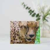 Carte Postale Cheetah apologétique (Debout devant)
