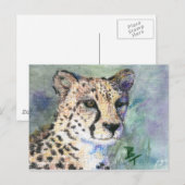 Carte Postale Cheetah Portrait aceo (Devant / Derrière)