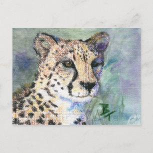 Carte Postale Cheetah Portrait aceo