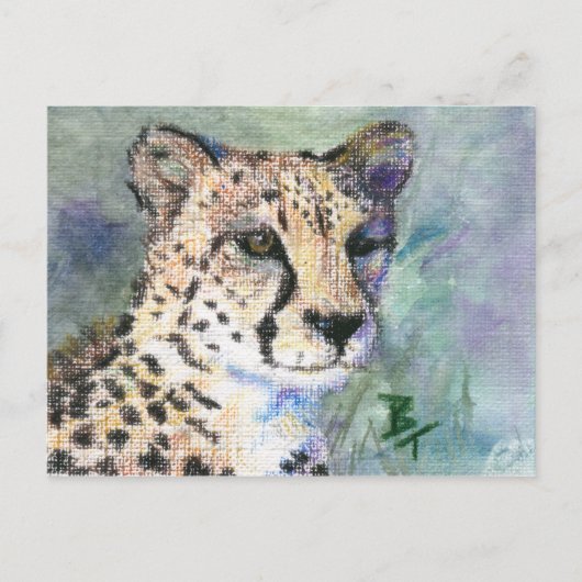 Carte Postale Cheetah Portrait aceo (Devant)