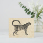 Carte Postale Cheetah vintage (Debout devant)