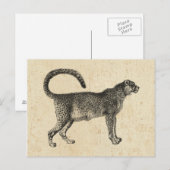 Carte Postale Cheetah vintage (Devant / Derrière)