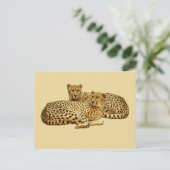 Carte Postale Cheetahs (Debout devant)