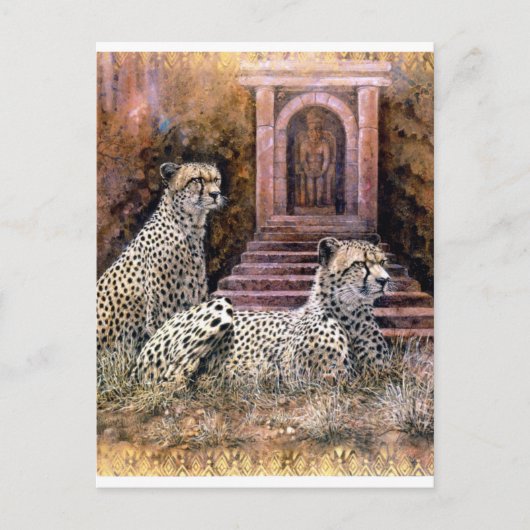 Carte Postale Cheetahs de Lost City (Devant)