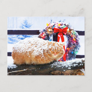 Carte Postale "Cheeto de Noël"