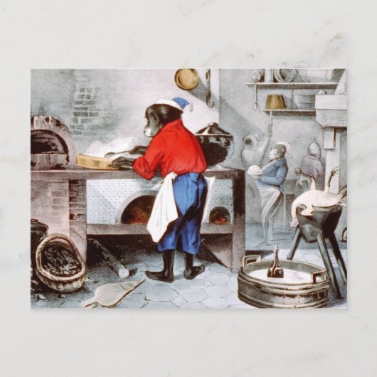 Carte Postale Chef Chimpanzé (Devant)