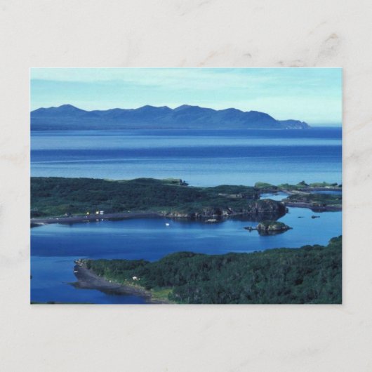 Carte Postale Chef Cove Kodiak (Devant)