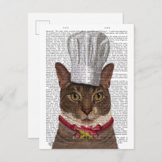 Carte Postale Chef de chats (Devant / Derrière)