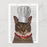 Chef de chats
