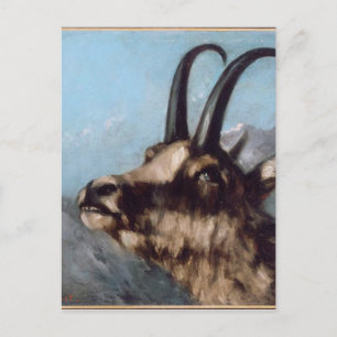Carte Postale Chef de Gazelle par Gustave Courbet