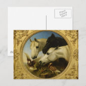 Carte Postale Chef-d'oeuvre cheval & colombe peinture John Herri (Devant / Derrière)