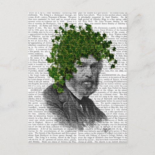 Carte Postale Chef du Plante Ivy Head (Devant)