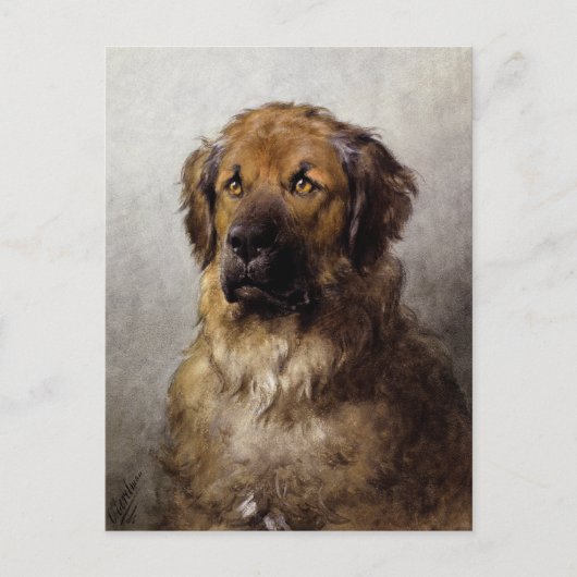 Carte Postale Chef d'une peinture de chien Leonberger (Devant)