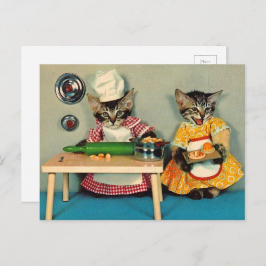 Carte Postale chef tabby kitten et assistant tabby kitten (Devant / Derrière)