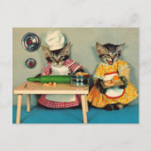 Carte Postale chef tabby kitten et assistant tabby kitten (Devant)