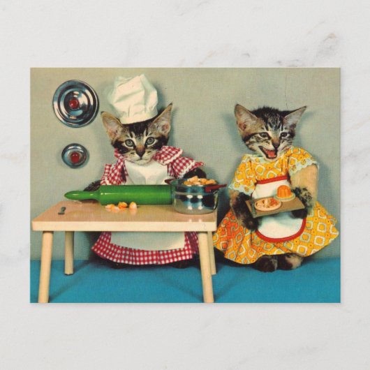 Carte Postale chef tabby kitten et assistant tabby kitten (Devant)