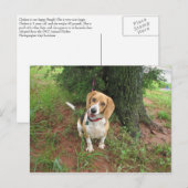 Carte Postale Chelsea (Devant / Derrière)