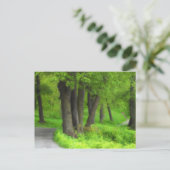 Carte Postale Chemin (Debout devant)