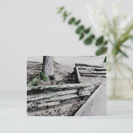 Carte Postale chemin (Debout devant)