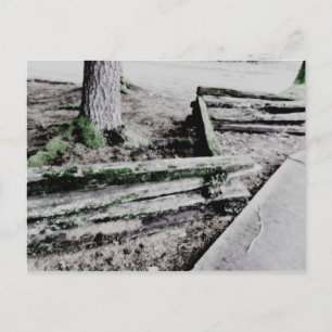 Carte Postale chemin