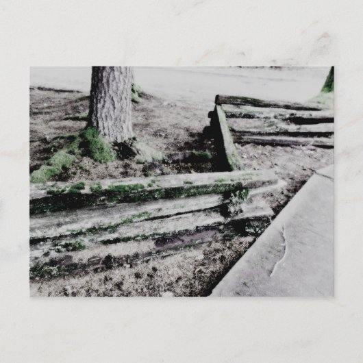 Carte Postale chemin (Devant)