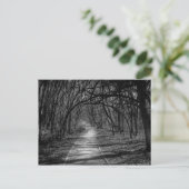 Carte Postale Chemin (Debout devant)