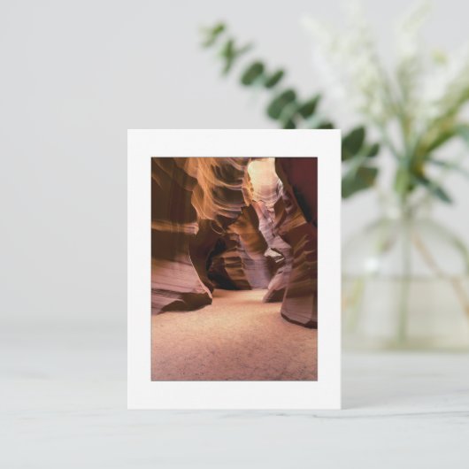 Carte Postale "Chemin à travers le temps" (Debout devant)