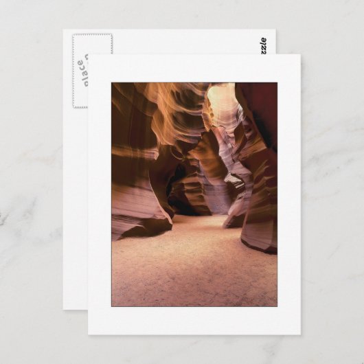 Carte Postale "Chemin à travers le temps" (Devant / Derrière)