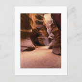 Carte Postale "Chemin à travers le temps" (Devant)