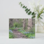 Carte Postale Chemin Bluebell (Debout devant)