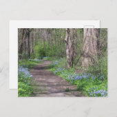 Carte Postale Chemin Bluebell (Devant / Derrière)