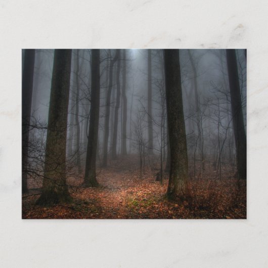 Carte Postale Chemin brumeux à la montagne de surface plane (Devant)