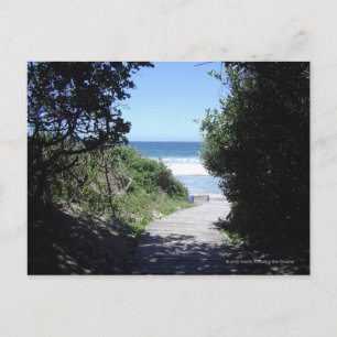 Carte Postale Chemin croisé